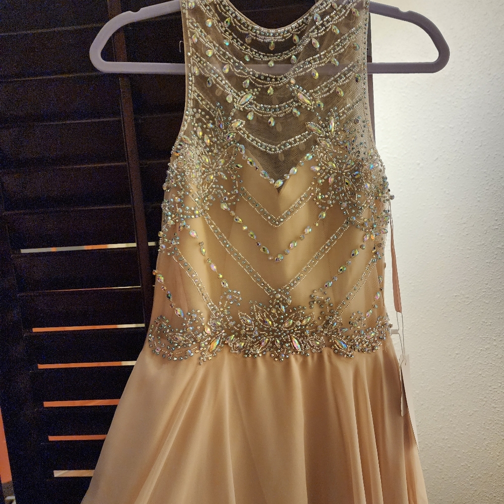 Formal Dress - Picture 4 of 6